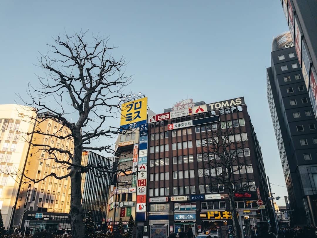 Hệ thống giáo dục Nhật Bản áp dụng công nghệ số hóa toàn diện